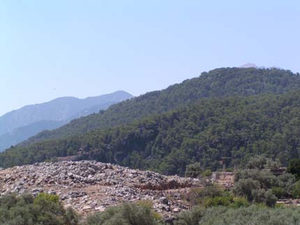 Το πευκοδάσος στην περιοχή του Άγιου Ιωάννη στα Σφακιά