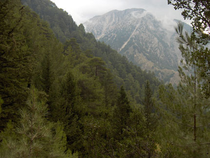 Samaria Gorge