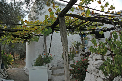 Old house in Agios Ioannis village in sfakia