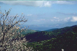 La Baia di Mirabelo, vista dal paese di Kroustàs, Lassithi