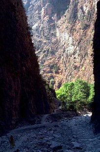 Der Pfad durch die Samaria-Schlucht