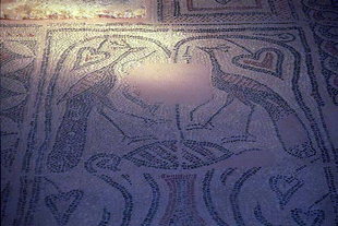 Mosaici provenienti dalla basilica del VI secolo di Sougia