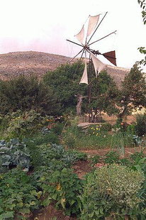A windmill in Lassithi Plateau