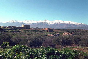 The Byzantine and Roman ruins in Aptera and the Lefka Ori