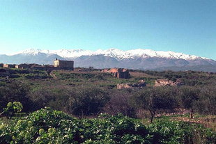 Τα Βυζαντινά και Ρωμαϊκά κατάλοιπα στην Άπτερα και τα Λευκά Όρη