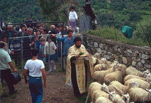 Der Priester segnet die Tiere, die Milch und die Schäfer während des Gottesdienstes, Asigonia