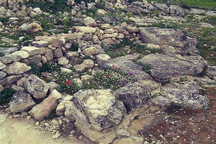 Ruines dans l'endroit de Rizinia