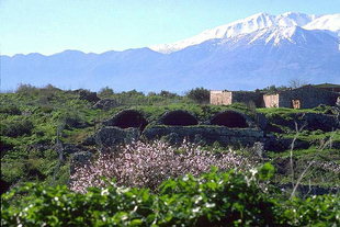 The vaulted Roman cisterns in Aptera