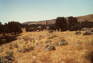 The remainders of the South Amphitheatre, Gortyn