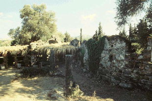 The ruins of the church of the Panagia in Agia, Kydonia