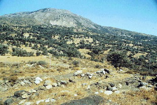 The Minoan settlement in Apodoulou