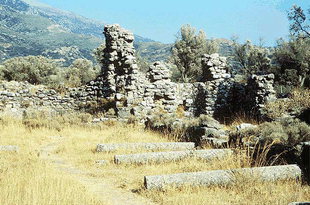 Οι κολώνες από τη τρίκλιτη βασιλική εκκλησία στην Ελληνική στο Βιζάρι