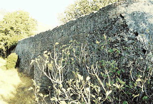 I resti di un vecchio mulino e di un acquedotto a Vizari