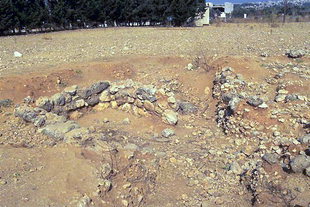 The Minoan settlement in Nerokourou