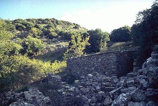 La zona di Driros ed il tempio ad Apollo Delphinos, Driros