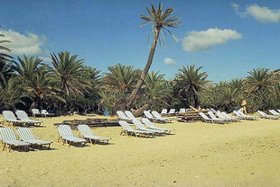 La plage et la forêt de palmiers de Vai