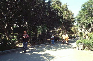 Public Garden in Iraklion