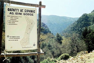 L'entrée de la Gorge d'Agia Irini à Selino