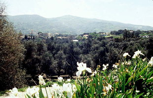 Das Dorf Kandanos